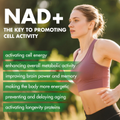 Image 3 for careleaf NAD+ Capsules 60 Capsules