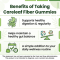 Image 4 for careleaf Sugar Free Dietary Fibre Gummies Green Apple Flavor 60 Gummies