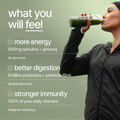 Image 2 for Transparent Greens V80 - Original Flavour x 14 stick packs