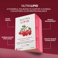 Image 2 for NutraLipid  Herbal Tea - 20 Tea Bags