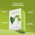 Image 2 for Yerba Mate & Gotu Kola Herbal Tea - 20 Tea Bags