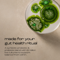 Image 5 for Gut Synbiotic Probiotic + Prebiotic 30 Capsules