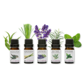 Image 3 for Aromatherapy 100% Essential Oil Collection