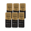 Image 1 for Manuka Honey Infusion with Cinnamon & Apple 6x250ml