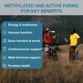 Image 5 for High-Absorption Methylated Multivitamin & Minerals for Men with Lycopene, 180 Tablets