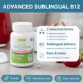 Image 3 for High-Absorption Super Vitamin B12 Complex, 3 Forms, 1000mcg Sublingual Melts, 180 Tablets