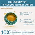 Image 4 for Advanced Berberine Phytosome with Chromium Picolinate, 60 Capsules