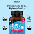 Image 5 for Marine Collagen Gummies