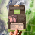Image 4 for Easy Brewing Everyday Green Tea Without Bitterrness 12 Biodegradable Pyramid Bags