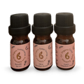 Image 3 for Festive Calm Christmas Essential Oil Trio Set 5ml x3 – Frankincense, Sweet Orange & Clove