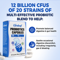 Image 3 for Careleaf Daily Probiotics with Prebiotics Capsules 12Billion CFU 20 Strains 30 Capsules