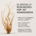 Image 3 for Ashwagandha KSM-66 - 60 caps