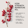 Image 4 for Pure Berberine - 60 capsules