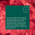 Image 3 for Daily Immune+ Effervescent Tablets Strawberry 20 Tablets