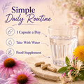 Image 5 for Echinacea Capsules with Dandelion and Honeysuckle - 90 Capsules