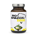 Image 1 for Suma (Brazilian Ginseng/Pfaffia) 500mg  60 vcaps