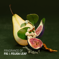 Image 3 for Fig + Feijoa Repair & Nourish Conditioner 340ml