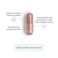 Image 3 for Vision+ 28 Capsules