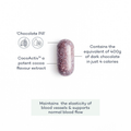 Image 3 for Blood Flow+ Cocoa Flavanols 28 Tablets