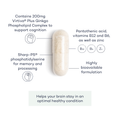 Image 3 for Brain Complex+ 56 Capsules