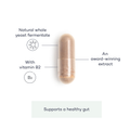 Image 3 for Biome Shield+ Postbiotic 28 Capsules