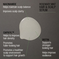 Image 4 for REUZEL Rosemary Mint Hair & Scalp Serum, Water-Based, 50ml