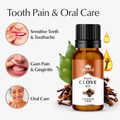 Image 4 for Clove Essential Oil 20ml – Natural Clove Oil for Oral Care & Aromatherapy