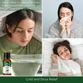 Image 4 for Eucalyptus Essential Oil 20ml – Natural Aromatherapy Oil for Clear Breathing & Wellness