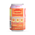 Image 2 for Fiery Ginger Nootropic Soda 12 x 330ml