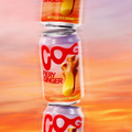 Image 4 for Fiery Ginger Nootropic Soda 12 x 330ml