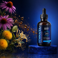 Image 2 for Echinacea Drops 100ml – 3:1 Echinacea Extract with Dandelion & Honeysuckle – Raspberry Flavour