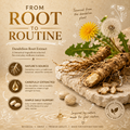 Image 2 for Dandelion Root Extract 12,000mg, 10:1 Extract, High Strength Vegan Supplement, 120 Tablets