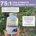 Image 3 for High Strength Elderberry Immune Gummies, 4-in-1 Complex with C, D3 & Zinc, for Kids and Adults, 90 Gummies