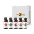 Image 1 for Christmas Time Fragrance Oil Set - 5 x 10ml Fragrances For Xmas Diffuser