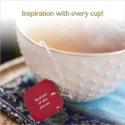 Yogi Tea Immune Support Tea (Echinacea, Acerola Cherry & Elderberry) 17x Tea Bags image 4