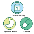 Holland & Barrett Ultra Maximum Acidophilus 60 Capsules image 3
