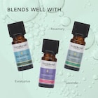 Tisserand Peppermint Organic Pure Essential Oil 9ml image 5