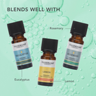 Tisserand Tea Tree Organic Pure Essential Oil 9ml image 5