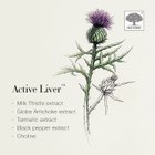 New Nordic Active Liver 60 Tablets image 3