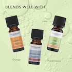Tisserand Citronella Organic Pure Essential Oil 9ml image 5