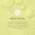 Tisserand Cardamom Pure Essential Oil 9ml image 3