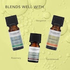 Tisserand Cardamom Pure Essential Oil 9ml image 5