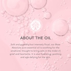 Tisserand Rose Absolute Pure Essential Oil 2ml image 3