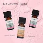 Tisserand Rose Absolute Pure Essential Oil 2ml image 5