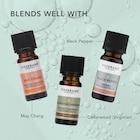 Tisserand Siberian Fir Wild Crafted Pure Essential Oil 9ml image 5