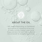 Tisserand Sandalwood Pure Essential Oil 2ml image 3