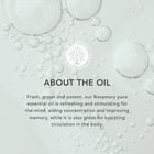 Tisserand Rosemary Organic Pure Essential Oil 9ml image 3