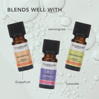 Tisserand Rosemary Organic Pure Essential Oil 9ml image 5