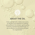 Tisserand Bergamot Organic Pure Essential Oil 9ml image 3