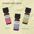 Tisserand Bergamot Organic Pure Essential Oil 9ml image 5
